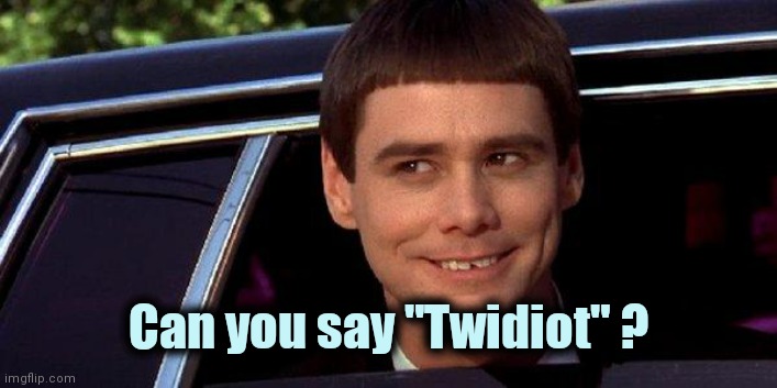 dumb and dumber | Can you say "Twidiot" ? | image tagged in dumb and dumber | made w/ Imgflip meme maker