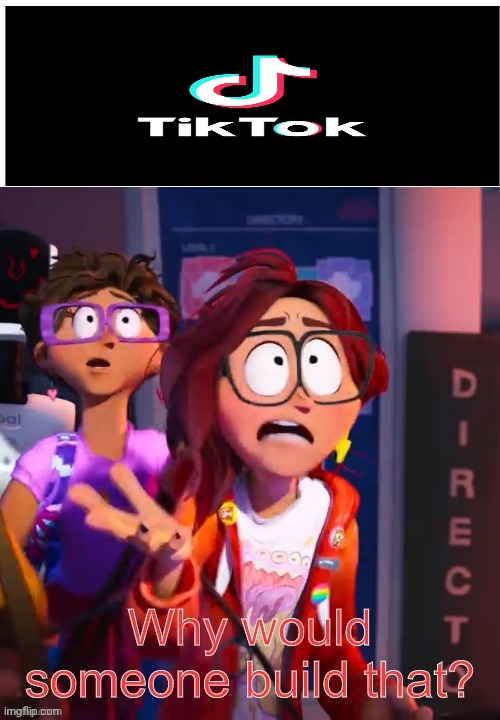 Why would someone make tiktok | image tagged in why would someone build that | made w/ Imgflip meme maker