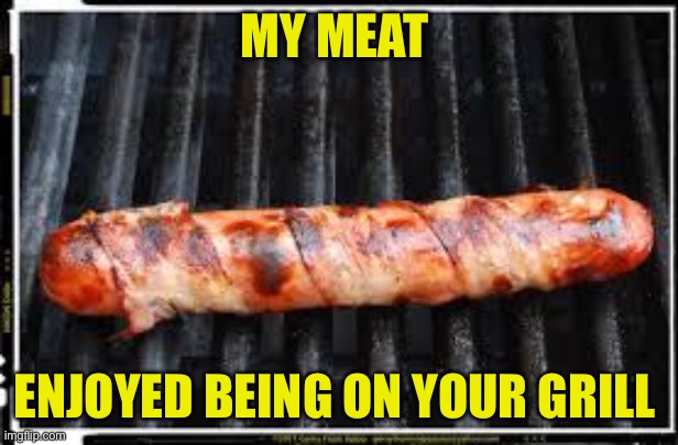 In your grill | MY MEAT; ENJOYED BEING ON YOUR GRILL | image tagged in grilled meat,funny,suggestive,flirty,sexual,innuendo | made w/ Imgflip meme maker