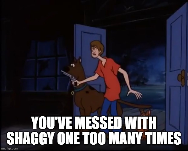 Shaggy's Had Enough | YOU'VE MESSED WITH SHAGGY ONE TOO MANY TIMES | image tagged in scooby doo,shaggy meme,cartoon,guns,funny memes,memes | made w/ Imgflip meme maker