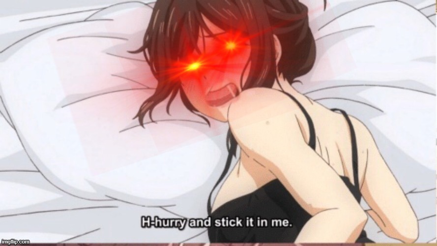H-Hurry stick it in | image tagged in h-hurry stick it in | made w/ Imgflip meme maker