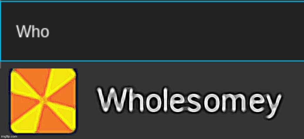 when you look up "who" on meme chat and you find Wholesomey instead of Who_Am_I | made w/ Imgflip meme maker