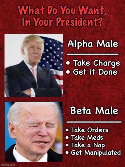 Multiple Choice | What Do You Want,
In Your President? Alpha Male
————————; • Take Charge
• Get it Done; Beta Male
————————; • Take Orders
• Take Meds
• Take a Nap
• Get Manipulated | image tagged in trump america first,biden hates america,dems are marxists,republicans are all america,biden is a joke,dems can kma | made w/ Imgflip meme maker