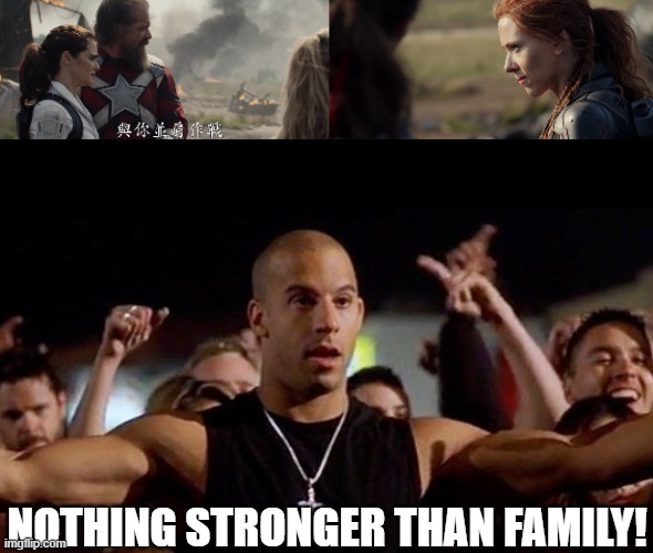 family | NOTHING STRONGER THAN FAMILY! | image tagged in family,dom,fast and furious,black widow | made w/ Imgflip meme maker