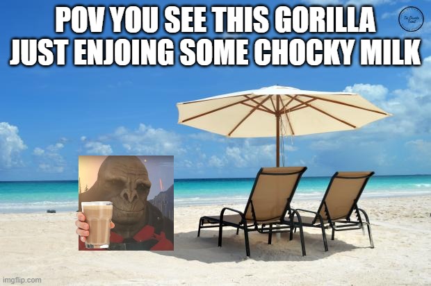 Beach | POV YOU SEE THIS GORILLA JUST ENJOING SOME CHOCKY MILK | image tagged in beach | made w/ Imgflip meme maker