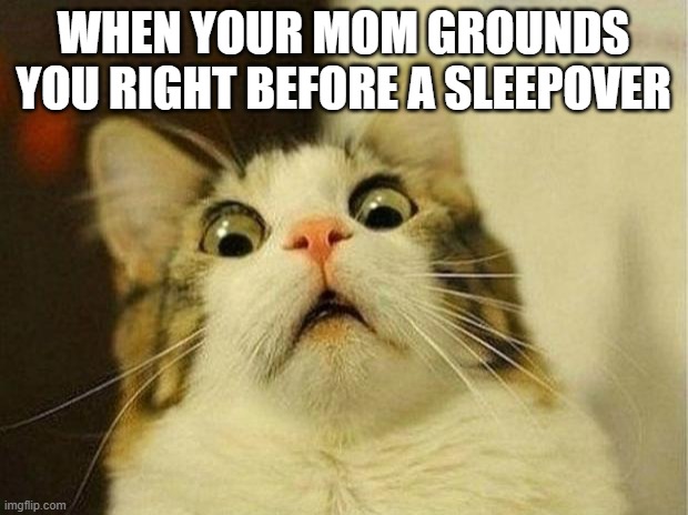 so sad ;-; | WHEN YOUR MOM GROUNDS YOU RIGHT BEFORE A SLEEPOVER | image tagged in memes,scared cat | made w/ Imgflip meme maker