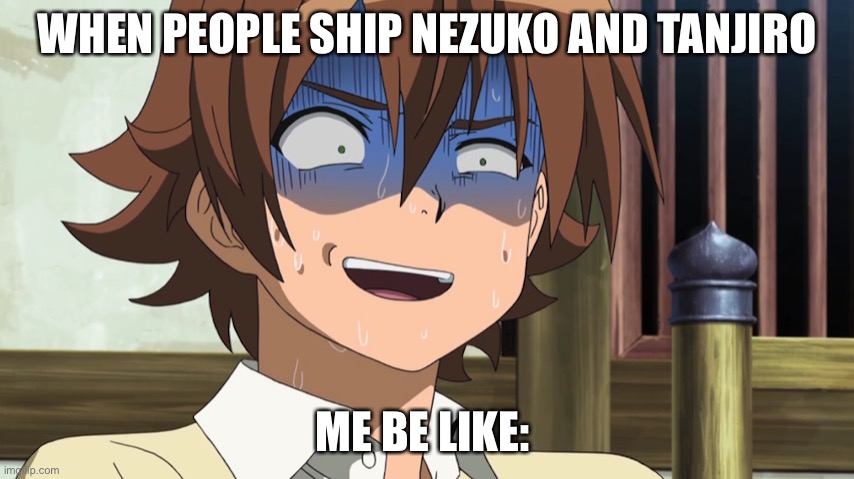 I don’t ship tanjiro and nezuko | WHEN PEOPLE SHIP NEZUKO AND TANJIRO; ME BE LIKE: | image tagged in they are siblings like bro,tanjiro and nezuko are not a ship for me just siblings,anime meme | made w/ Imgflip meme maker