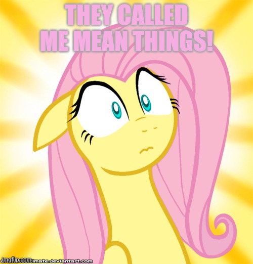 Shocked Fluttershy | THEY CALLED ME MEAN THINGS! | image tagged in shocked fluttershy | made w/ Imgflip meme maker