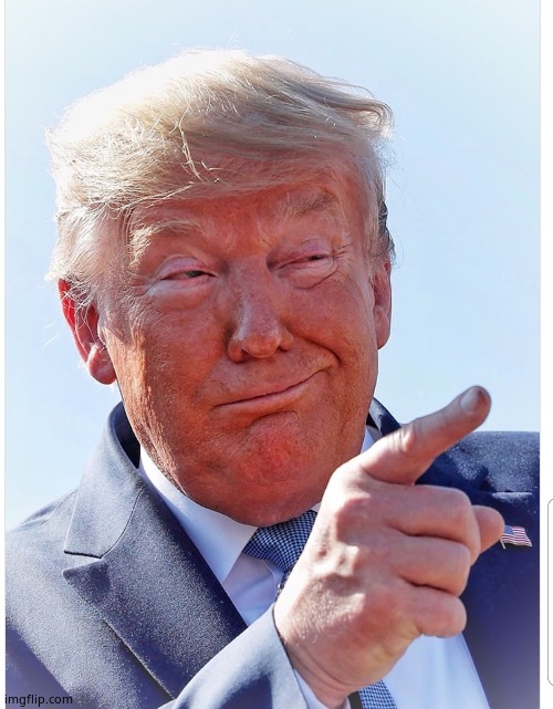 Trump pointing | image tagged in trump pointing | made w/ Imgflip meme maker