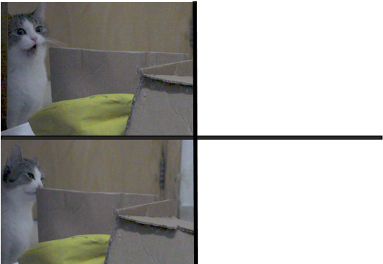 Cat Drake meme template Blank Meme Template