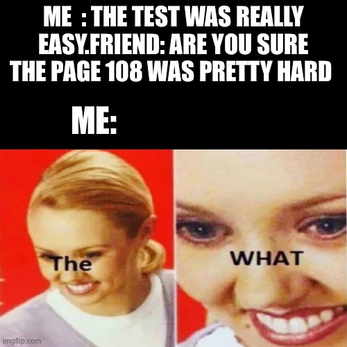 The What | ME  : THE TEST WAS REALLY EASY.FRIEND: ARE YOU SURE THE PAGE 108 WAS PRETTY HARD; ME: | image tagged in the what | made w/ Imgflip meme maker