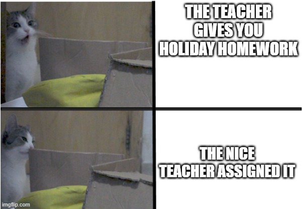 Maybe i'll do it | THE TEACHER GIVES YOU HOLIDAY HOMEWORK; THE NICE TEACHER ASSIGNED IT | image tagged in cat drake meme template | made w/ Imgflip meme maker