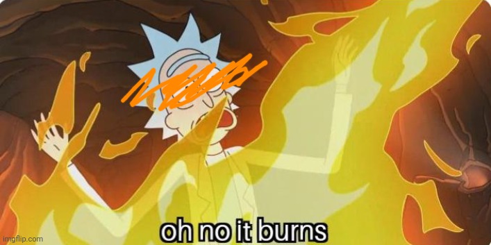 Oh no it burns Rick and Morty | image tagged in oh no it burns rick and morty | made w/ Imgflip meme maker