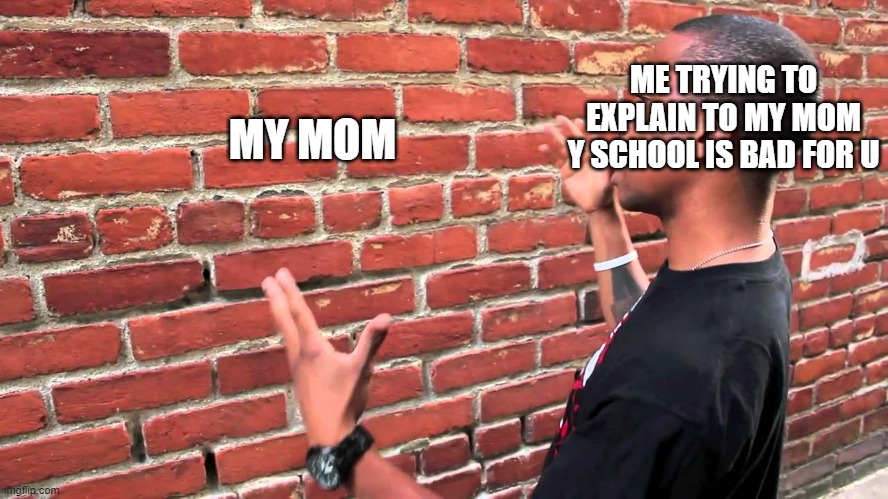 school sucks | ME TRYING TO EXPLAIN TO MY MOM Y SCHOOL IS BAD FOR U; MY MOM | image tagged in talking to wall | made w/ Imgflip meme maker