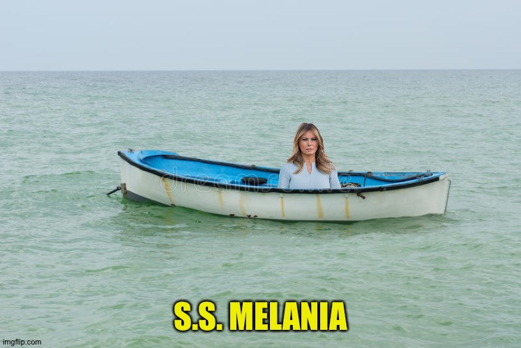 When she divorces him but realizes that half of zero property is zero | S.S. MELANIA | image tagged in melania | made w/ Imgflip meme maker