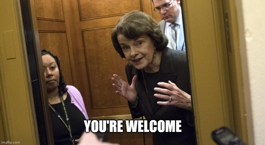 Sneaky Diane Feinstein | YOU'RE WELCOME | image tagged in sneaky diane feinstein | made w/ Imgflip meme maker