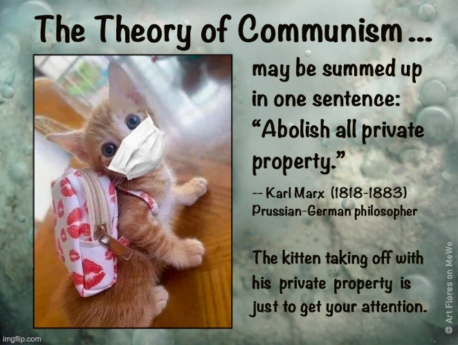 Theory of Communism | image tagged in communism,karl marx,kitten | made w/ Imgflip meme maker