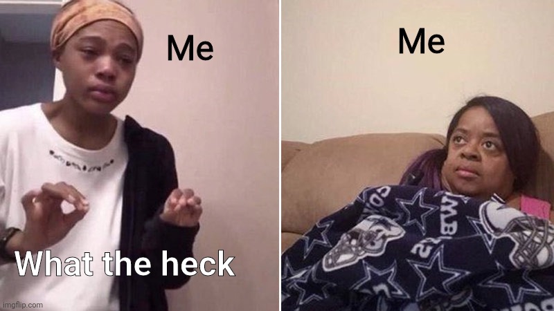 Me to me: | Me; Me; What the heck | image tagged in me explaining to my mom | made w/ Imgflip meme maker
