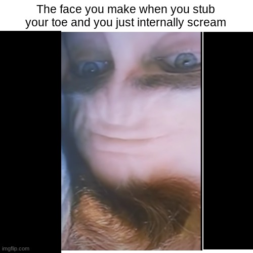 We all have our moments |  The face you make when you stub your toe and you just internally scream | image tagged in relatable,funny,fun,pain,hide the pain | made w/ Imgflip meme maker