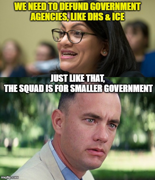 WE NEED TO DEFUND GOVERNMENT AGENCIES, LIKE DHS & ICE; JUST LIKE THAT, 
THE SQUAD IS FOR SMALLER GOVERNMENT | image tagged in rashida tlaib,memes,and just like that | made w/ Imgflip meme maker