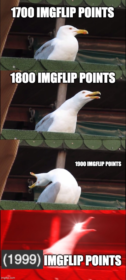 when you are so close | 1700 IMGFLIP POINTS; 1800 IMGFLIP POINTS; 1900 IMGFLIP POINTS; IMGFLIP POINTS | image tagged in memes,inhaling seagull | made w/ Imgflip meme maker