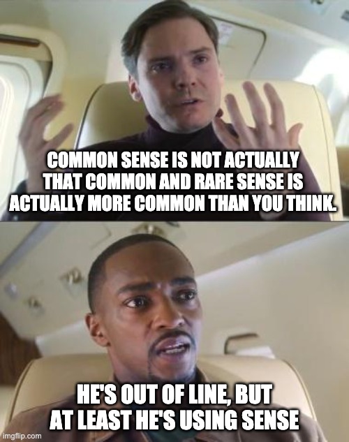 he's out of line, but hes using sense |  COMMON SENSE IS NOT ACTUALLY THAT COMMON AND RARE SENSE IS ACTUALLY MORE COMMON THAN YOU THINK. HE'S OUT OF LINE, BUT AT LEAST HE'S USING SENSE | image tagged in out of line but he's right | made w/ Imgflip meme maker