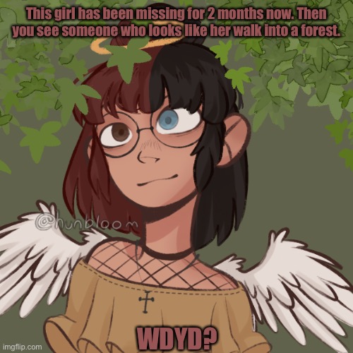 If you want more info about her you can ask. |  This girl has been missing for 2 months now. Then you see someone who looks like her walk into a forest. WDYD? | made w/ Imgflip meme maker