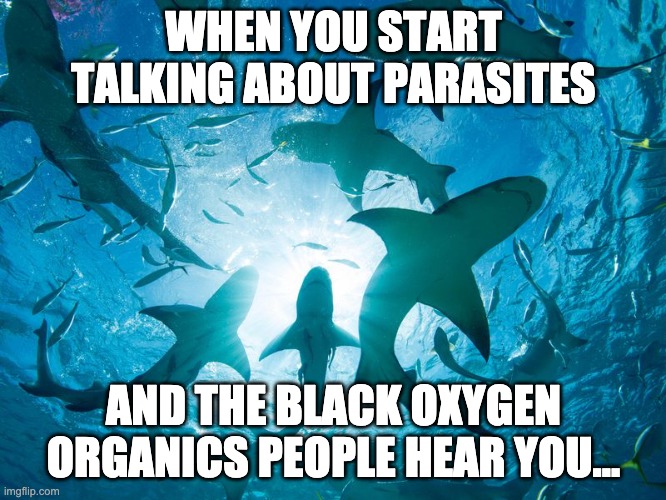 Black Oxygen Organics Sharks | WHEN YOU START TALKING ABOUT PARASITES; AND THE BLACK OXYGEN ORGANICS PEOPLE HEAR YOU... | image tagged in sharks in the water | made w/ Imgflip meme maker