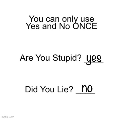 yes; no | image tagged in are you stupid | made w/ Imgflip meme maker