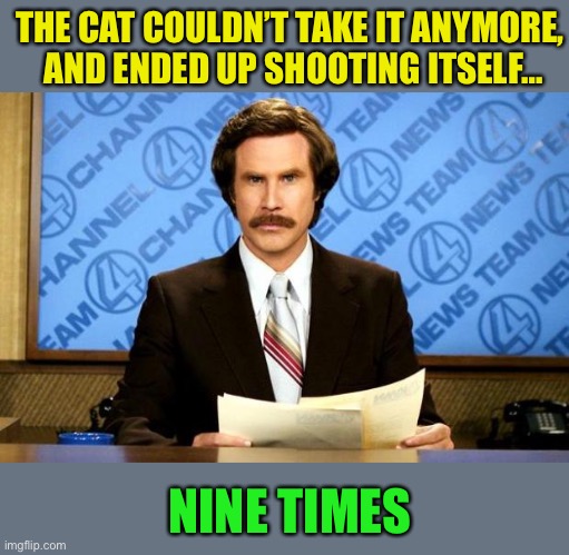 BREAKING NEWS | THE CAT COULDN’T TAKE IT ANYMORE,
 AND ENDED UP SHOOTING ITSELF… NINE TIMES | image tagged in breaking news | made w/ Imgflip meme maker