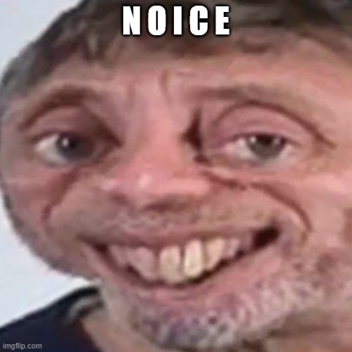 Noice | N O I C E | image tagged in noice | made w/ Imgflip meme maker