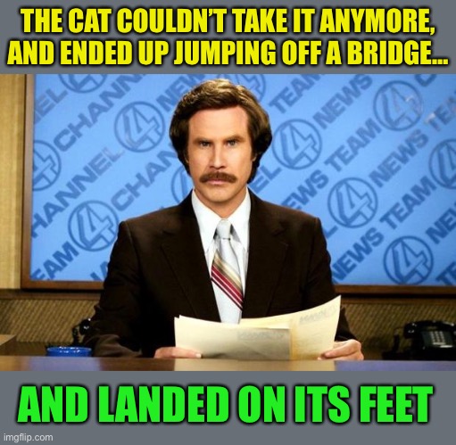 BREAKING NEWS | THE CAT COULDN’T TAKE IT ANYMORE,
AND ENDED UP JUMPING OFF A BRIDGE… AND LANDED ON ITS FEET | image tagged in breaking news | made w/ Imgflip meme maker