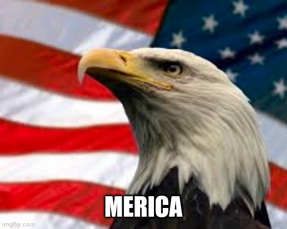 Murica Patriotic Eagle | MERICA | image tagged in murica patriotic eagle | made w/ Imgflip meme maker