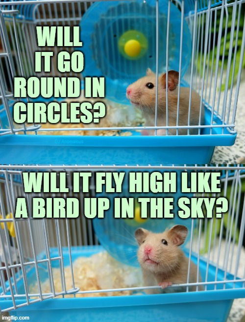 Hamster dreams | WILL IT GO ROUND IN CIRCLES? DJ Anomalous; WILL IT FLY HIGH LIKE
A BIRD UP IN THE SKY? | image tagged in hamster,1970s,music,what goes around comes around,flying | made w/ Imgflip meme maker