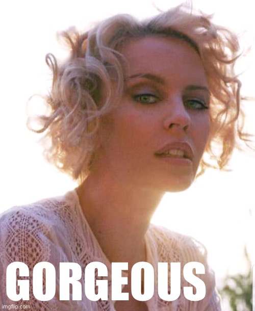 Not a bad blowout, duck | GORGEOUS | image tagged in kylie face | made w/ Imgflip meme maker