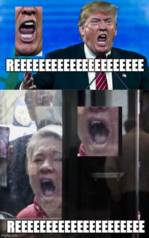 REEEEEEEEEEEEEEEEEEEEE; REEEEEEEEEEEEEEEEEEEEE | image tagged in livid trump,trump michigan protesters | made w/ Imgflip meme maker