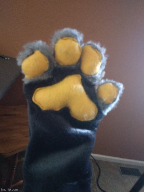 I have made ONE paw | made w/ Imgflip meme maker