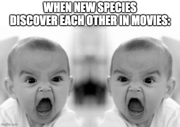 When new species discover each other in movies | WHEN NEW SPECIES DISCOVER EACH OTHER IN MOVIES: | image tagged in memes,angry baby | made w/ Imgflip meme maker