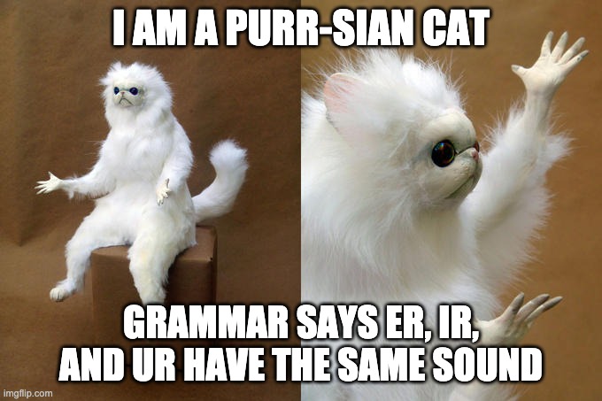 purr-sian cat |  I AM A PURR-SIAN CAT; GRAMMAR SAYS ER, IR, AND UR HAVE THE SAME SOUND | image tagged in memes,persian cat room guardian | made w/ Imgflip meme maker