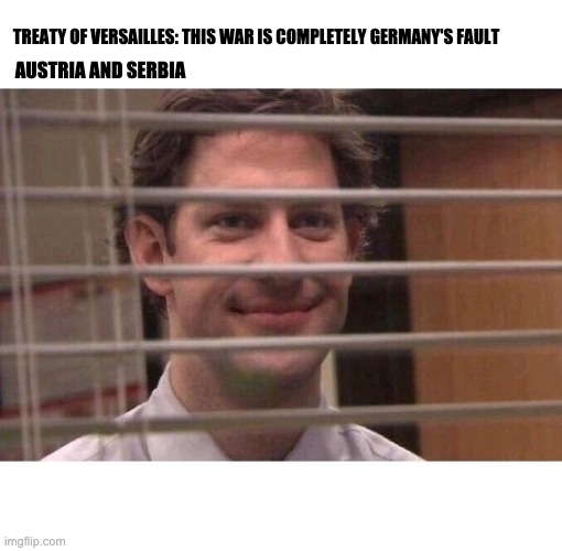 Jim Office Blinds | TREATY OF VERSAILLES: THIS WAR IS COMPLETELY GERMANY'S FAULT; AUSTRIA AND SERBIA | image tagged in jim office blinds | made w/ Imgflip meme maker