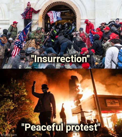 "Insurrection" "Peaceful protest" | image tagged in trump cult insurrection riot,blm riots | made w/ Imgflip meme maker