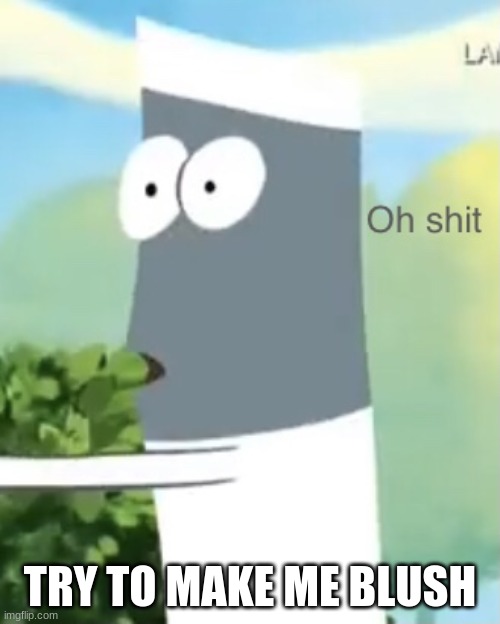 Skinny oh shit | TRY TO MAKE ME BLUSH | image tagged in skinny oh shit | made w/ Imgflip meme maker