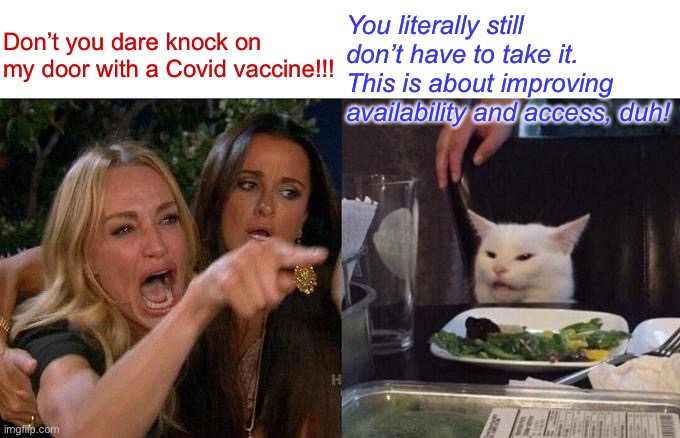 LOL I checked politics stream and anti-vaxxers are having a field day. If that’s how you really feel, just don’t take it! | Don’t you dare knock on my door with a Covid vaccine!!! You literally still don’t have to take it. This is about improving availability and access, duh! | image tagged in memes,woman yelling at cat,covid-19,vaccinations,vaccines,antivax | made w/ Imgflip meme maker