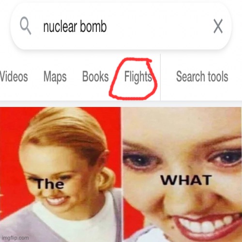 Fly to nuclear bomb now | image tagged in the what | made w/ Imgflip meme maker