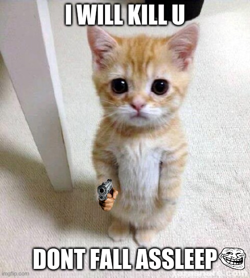 1, 2, kittys gonna come 4 u | I WILL KILL U; DONT FALL ASSLEEP | image tagged in memes,cute cat | made w/ Imgflip meme maker