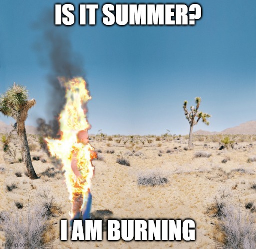 is it summer | IS IT SUMMER? I AM BURNING | image tagged in dry heat,funny,fun,memes | made w/ Imgflip meme maker