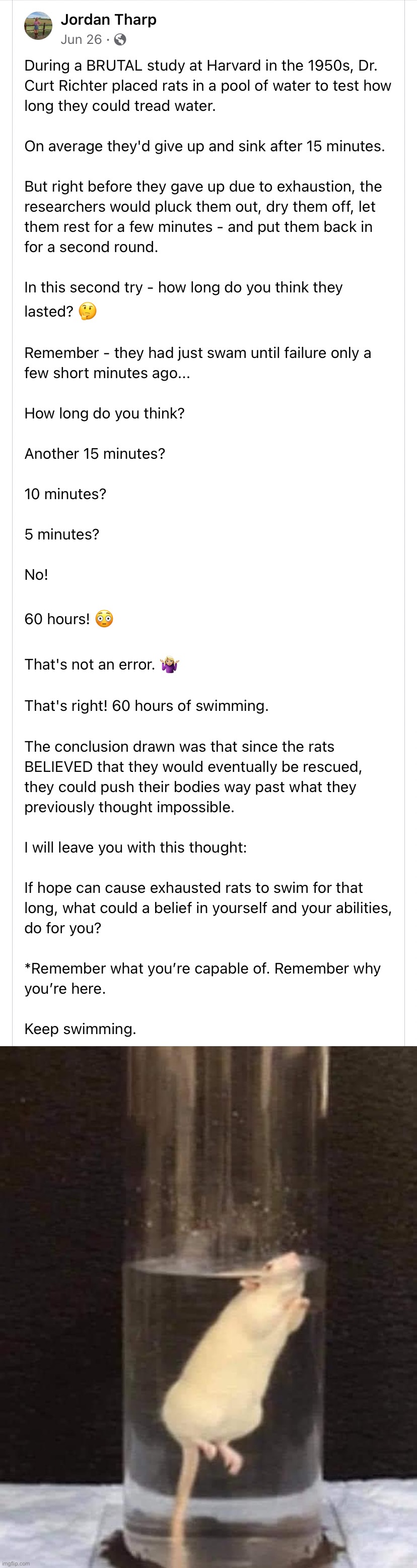 You’re stronger than you think you are. Just keep swimming! | image tagged in rat in water,swimming,just keep swimming,repost,rats,experiment | made w/ Imgflip meme maker
