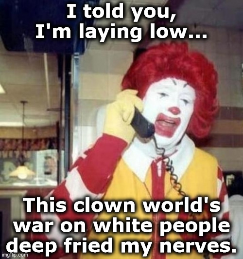 I told you, I'm laying low... | I told you,
I'm laying low... This clown world's
war on white people
deep fried my nerves. | image tagged in ronald mcdonald on the phone,clown world,war on white people,deep fried,nerves,laying low | made w/ Imgflip meme maker