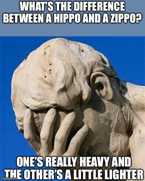 Groan Facepalm | WHAT’S THE DIFFERENCE BETWEEN A HIPPO AND A ZIPPO? ONE’S REALLY HEAVY AND THE OTHER’S A LITTLE LIGHTER | image tagged in groan facepalm | made w/ Imgflip meme maker