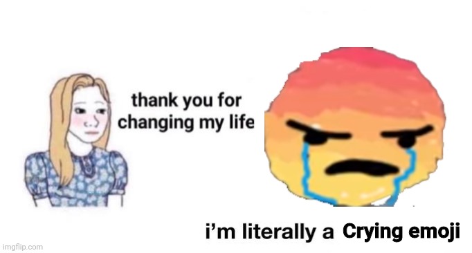 thank you for changing my life | Crying emoji | image tagged in thank you for changing my life | made w/ Imgflip meme maker